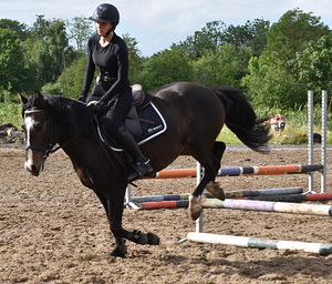 EESTI TÕUGU RUUN. (5 foto / 10)