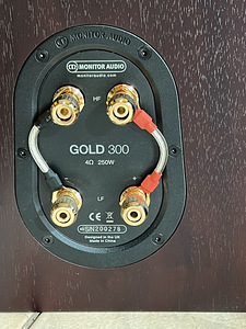 Monitor Audio Gold 300 5G (6 фото из 6)