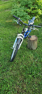 Jälgrattas Classic 24'' (3 foto / 5)