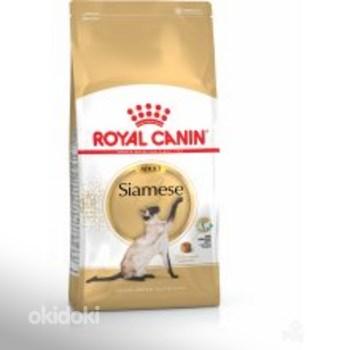 10% allahindlust tõugidieetidele kassidele Royal Canin (foto #2)