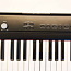Digitaalne klaver DP Beginner 88 klahvid (foto #2)