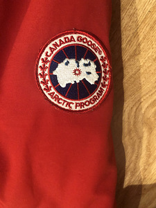 Canada goose (5 foto / 6)