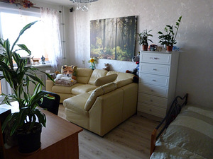 K. Kärberi tn 41, Lasnamäe, Tallinn, Harjumaa (1 foto / 15)