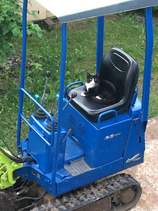 Miniekskavaator (rent) (3 foto / 3)