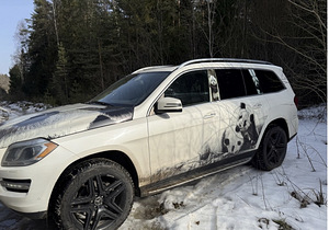 Mercedes benz Gl 350 (3 foto / 7)