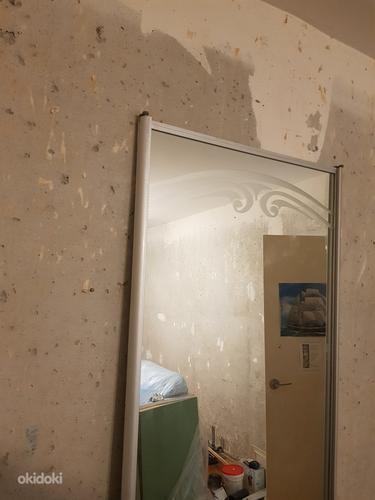 Зеркальная дверь (фото #3)
