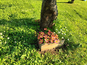 Üürida väike maja Kiisal (6 foto / 10)