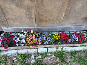 Üürida väike maja Kiisal (9 foto / 10)