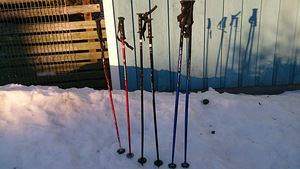 Slaalomkepid, 100-115 cm (1 foto / 1)