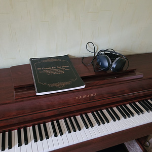 Digitaalklaver Yamaha Clavinova CLP-545 Mahogany (4 фото из 4)