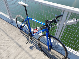 Hübriidratas Nishiki Pro SL (2 foto / 4)
