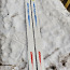 Лыжи для лесника (фото #4)