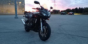 Yamaha FZS 600 70kW (9 foto / 9)