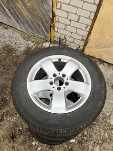 Mercedes-Benz veljed rehvidega (2 foto / 10)