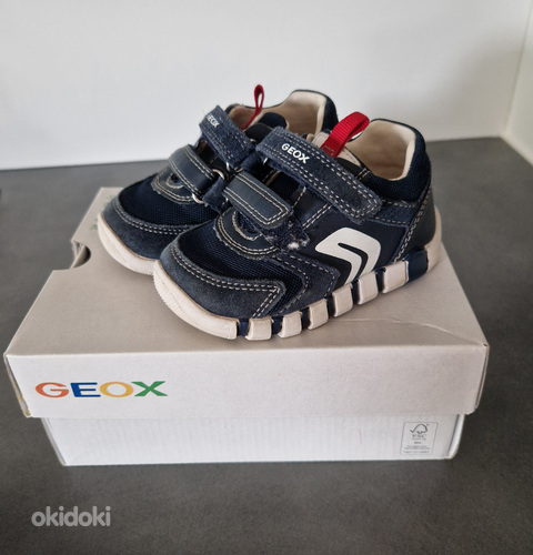 Geox tossud 21 suurus