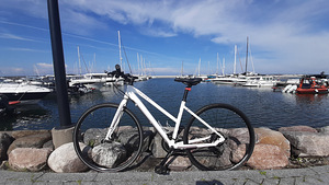 SCOTT SUB CROSS 50 Lady