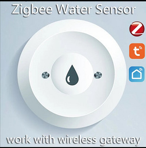 Vee lekkeandur + Hub ZigBee 3.0 SmartHouse (2 foto / 2)