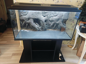 Akvaarum 200 + kapp (1 foto / 4)