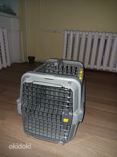 Lemmikloomade transpordipuur rentimiseks