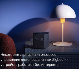 Yandex Alisa Midi nutikõlar koos ZigBee-ga (7 foto / 8)