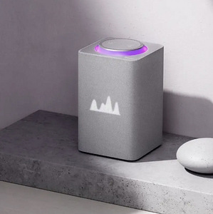 Alice Yandex MAX ZigBee nutikõlar nutikas kodu (8 foto / 10)