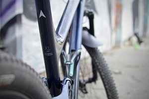 Vitus Rapide FS CRS carbon MTB XL 29" (8 foto / 10)