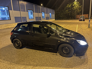 Peugeot 307 (1 фото из 6)