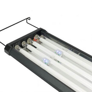 ODYSSEA QUAD 4 x 39w T5 (4 foto / 4)
