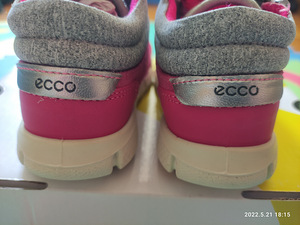 Uued Ecco 24 (3 foto / 3)