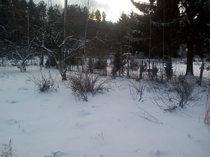Metsataguse tn 13, Aespa, Kohila vald, Raplamaa (13 foto / 17)