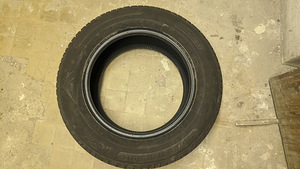 Taurus All Season SUV 215/65 r16 (3 foto / 4)