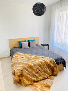 Paekalda tn 14, Lasnamäe, Tallinn, Harjumaa (4 foto / 9)