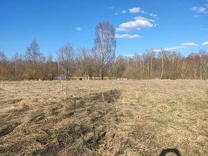 Üürile anda maad 1137m2 (6 foto / 13)
