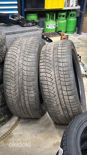 Continental talverehvid 275 45 20