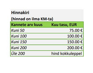 Raamatupidamine väike- ja mikroettevõttele (2 foto / 2)