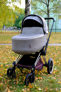 Cybex Priam Lux vankrikorv Fashion Koi (3 foto / 8)