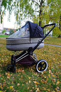 Cybex Priam Lux vankrikorv Fashion Koi (5 foto / 8)