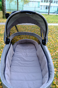 Cybex Priam Lux vankrikorv Fashion Koi (8 foto / 8)