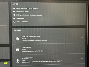 Razer Blade 14 / RTX 3070 / Ryzen 9 5900HX / 165hz QHD (10 foto / 10)