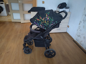Lionelo jalutuskäru lastele (2 foto / 6)