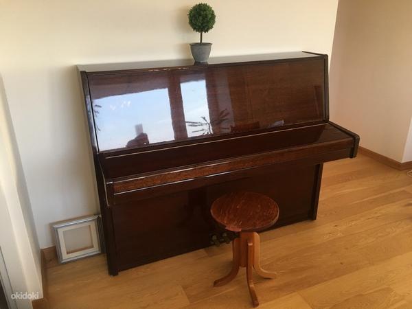 Klaver RIGA kohaletoimetamine Tallinnas on hinna sees (foto #2)