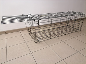 REBASE LÕKS (PÜÜNIS) (1 foto / 8)