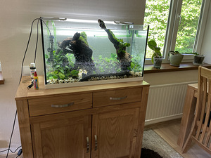 Akvaarium EHEIM 125L. Lamp+välispump (3 foto / 10)