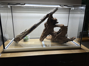 Akvaarium EHEIM 125L. Lamp+välispump (8 foto / 10)