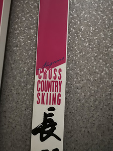 Salomon Nagano Cross Country (8 foto / 9)