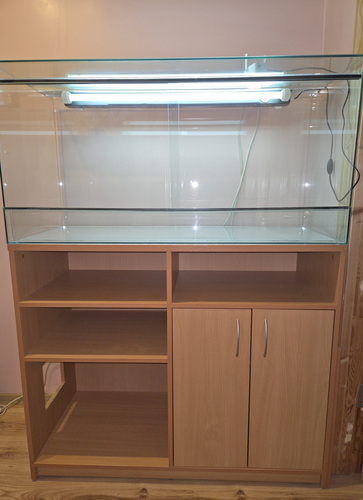 Terrarium koos alusega