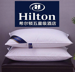 LOT! UUS Pillowmore padi, 48x74cm, 2tk, valge (4 foto / 4)