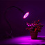 МНОГО! Светодиодный светильник для выращивания растений InnoGear E563, 20 Вт (фото #5)
