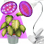 МНОГО! Светодиодный светильник для выращивания растений InnoGear E563, 20 Вт (фото #1)