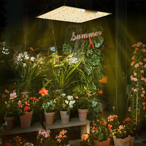 LOT! UUS Bosytro LED lamp taimedele (8 foto / 9)